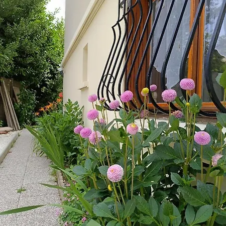 Qhome 1 - Studio Entre Paris Et Disney Villiers-sur-Marne Exterior foto